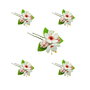 Set 5 accesorii de par