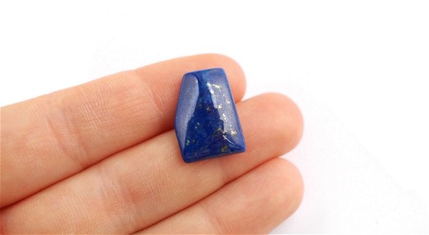 Cabochon  Lapis Lazuli - LP841