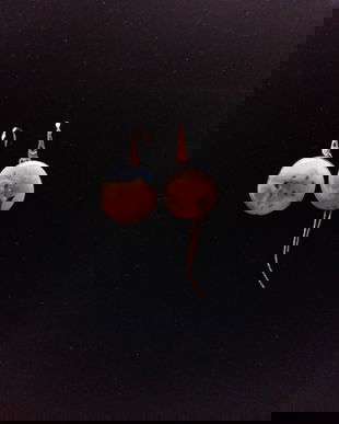 UNICAT Cercei sticla fuziona tortite argint placat cu aur roz