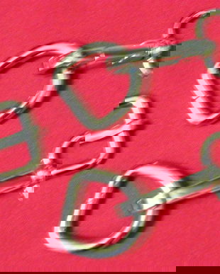 Set carabine inele catarama