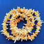 Lchips 55 - coral