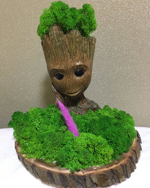 I"m Groot - Decoratiune cu licheni