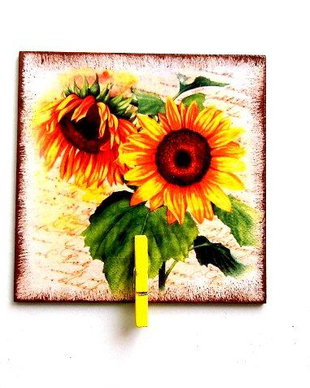 Magnet de frigider 37724