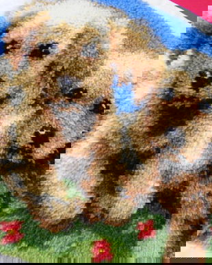 Nou-husa perna decor