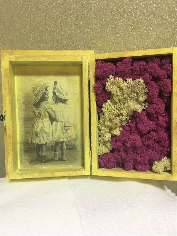 Cutie vintage surori/prietene cu licheni stabilizati
