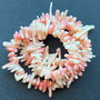 Lchips 57 - coral