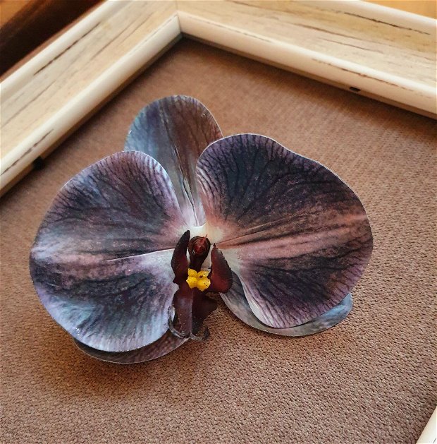 Orhidee de par