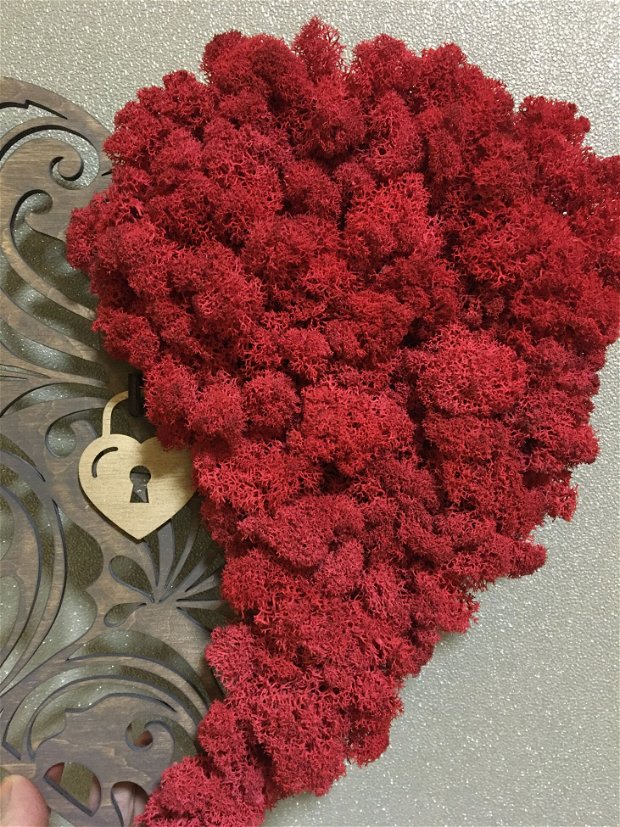 Decoratiune inima cu licheni stabilizati