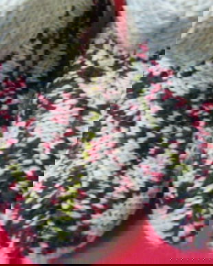 Nou-botosei lana-imblaniți 38/39