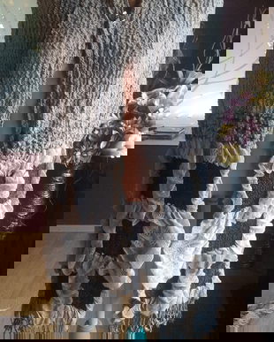 SAL /FULAR SPECTACULOS , 2 FETE,MODEL ORIGINAL