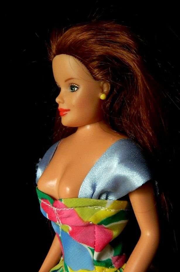 Lady Barbie  REZERVAT (221)