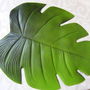 4 placemat frunze
