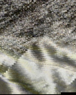 Patura imitatie muschi de padure