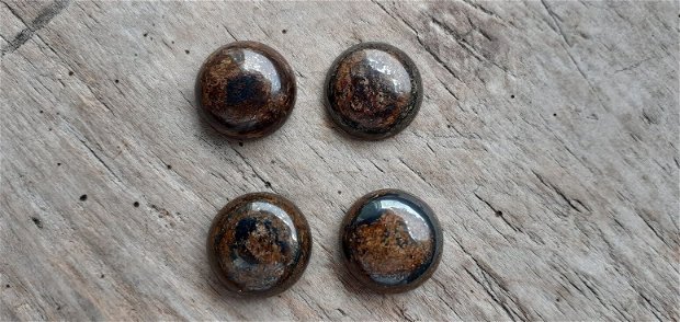 Cabochon bronzit, 14 mm (2 buc)