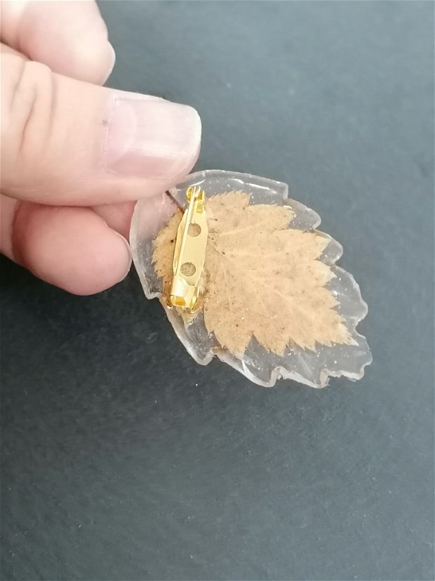 Brosa unicat cu o frunza naturala de mesteacăn, montată în rășină UV transparenta