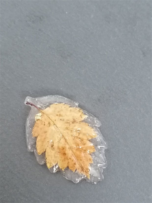 Brosa unicat cu o frunza naturala de mesteacăn, montată în rășină UV transparenta