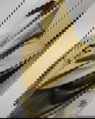 Sal  vintage  Hermes ,  deosebit , stare perfecta