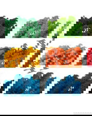 Licheni Premium stabilizati fara radacina