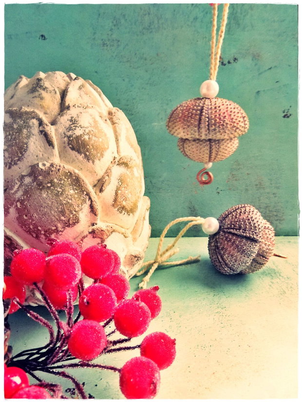 Decoratiuni din arici de mare ~ Rustic Christmas