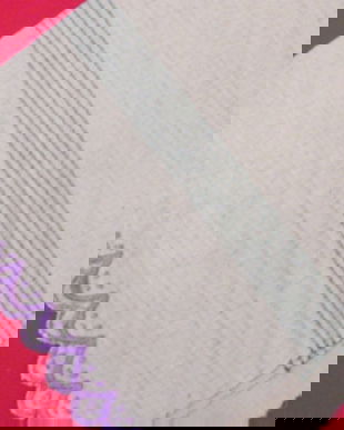 NOU -stergar panza de casa