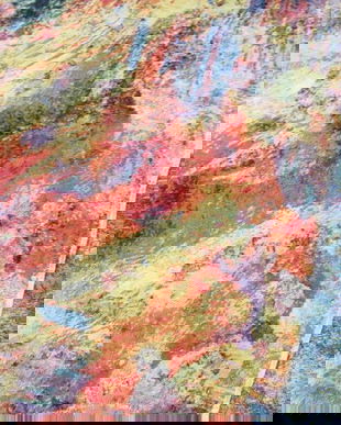 Cupon mostra-stofa tapițerie