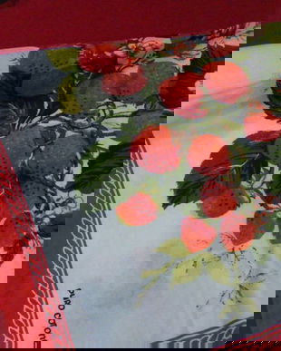 Nou-napron cu capsuni