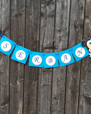 Banner nume Mickey Mouse