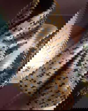 GULER BLANA ARTIFICIALA ANIMAL PRINT