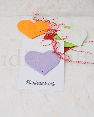 Martisor biodegradabil din hartie plantabila + cartonas