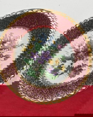 PLATOURI WEATHERBYDURABILITY ROYAL FALCON 1891