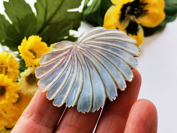Pandant  paua shell