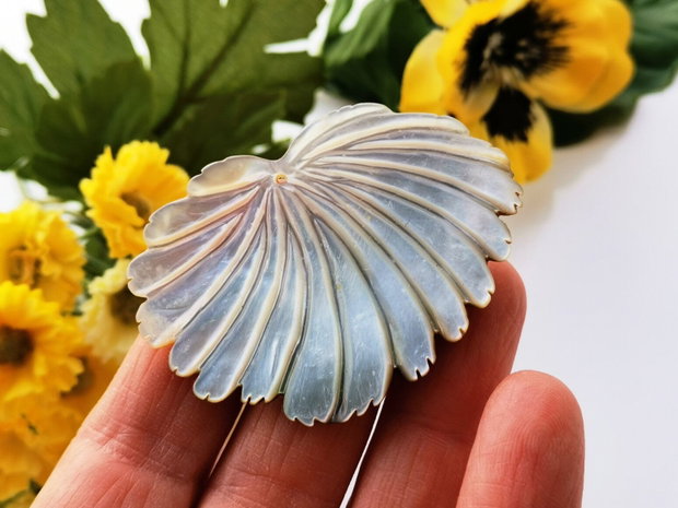 Pandant  paua shell