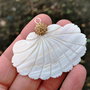 Pandant  paua shell