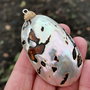 Pandant  paua shell