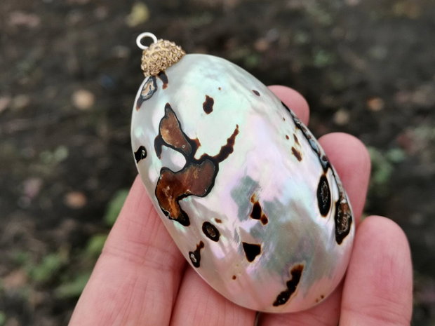 Pandant  paua shell
