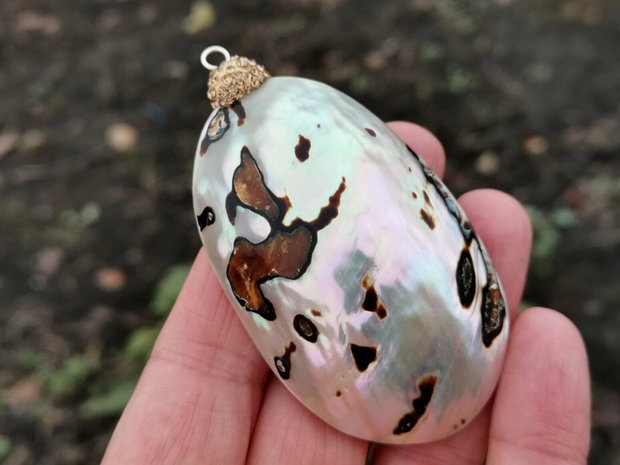 Pandant  paua shell