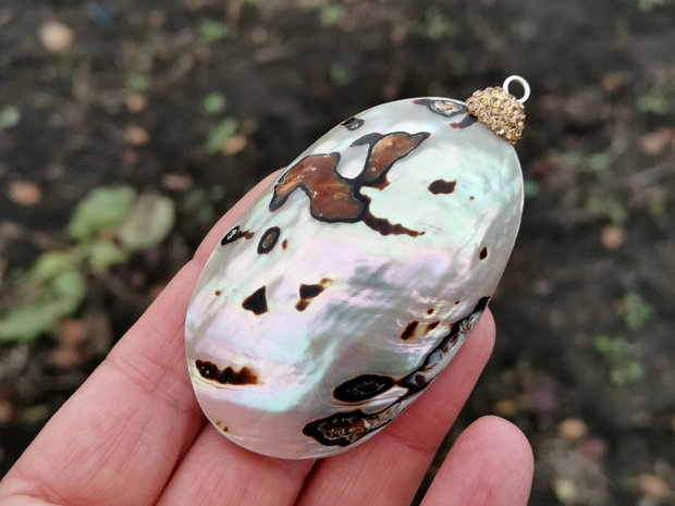 Pandant  paua shell