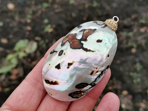 Pandant  paua shell