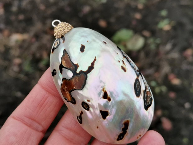 Pandant  paua shell