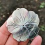 Pandant  paua shell