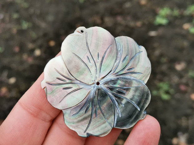 Pandant  paua shell