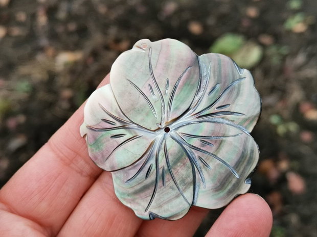 Pandant  paua shell