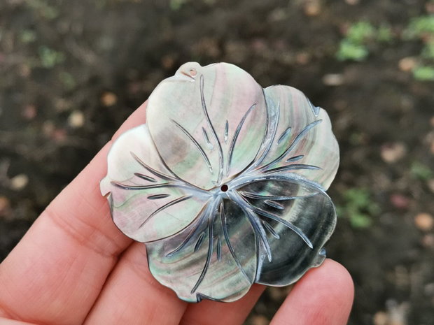 Pandant  paua shell
