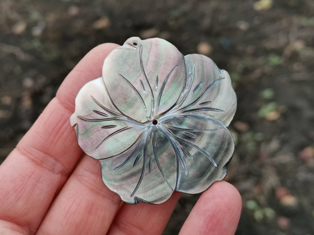 Pandant  paua shell
