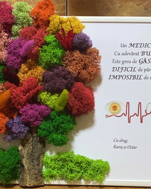 Tablou personalizat, cu licheni si mesaj pentru medic