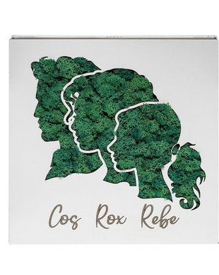 Caseta decorativă cu licheni, CD1063