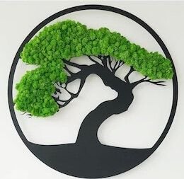 Tablou bonsai