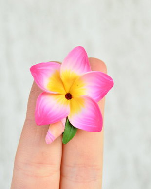 Plumeria roz fuxia- brosa martisor