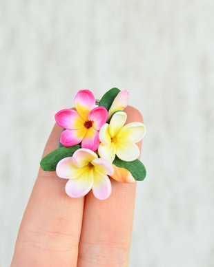 Plumeria roz- brosa tablou