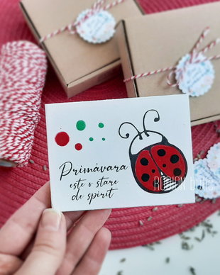 Martisor buburuza magnet pictat manual cu mesaj
